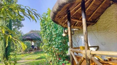 Podocarpus cottages