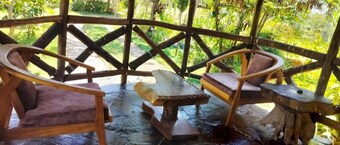 Podocarpus Cottages -02