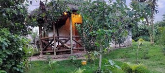 Podocarpus Cottages -02