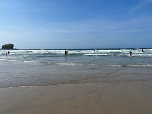 Nálægt ströndinni