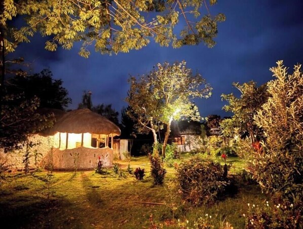 Property grounds - Podocarpus cottages 03 (Nanyuki)