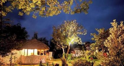 Podocarpus cottages 03