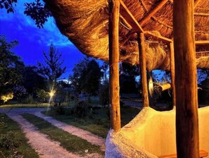 Property grounds - Podocarpus cottages 03 (Nanyuki)