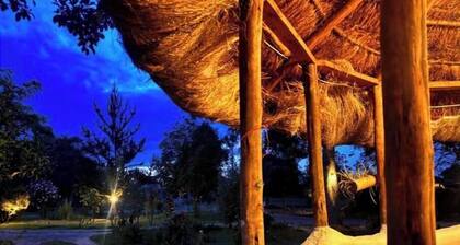 Podocarpus cottages 03