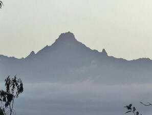 Miscellaneous - Podocarpus cottages 03 (Nanyuki)