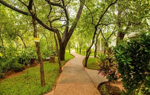 Jardín