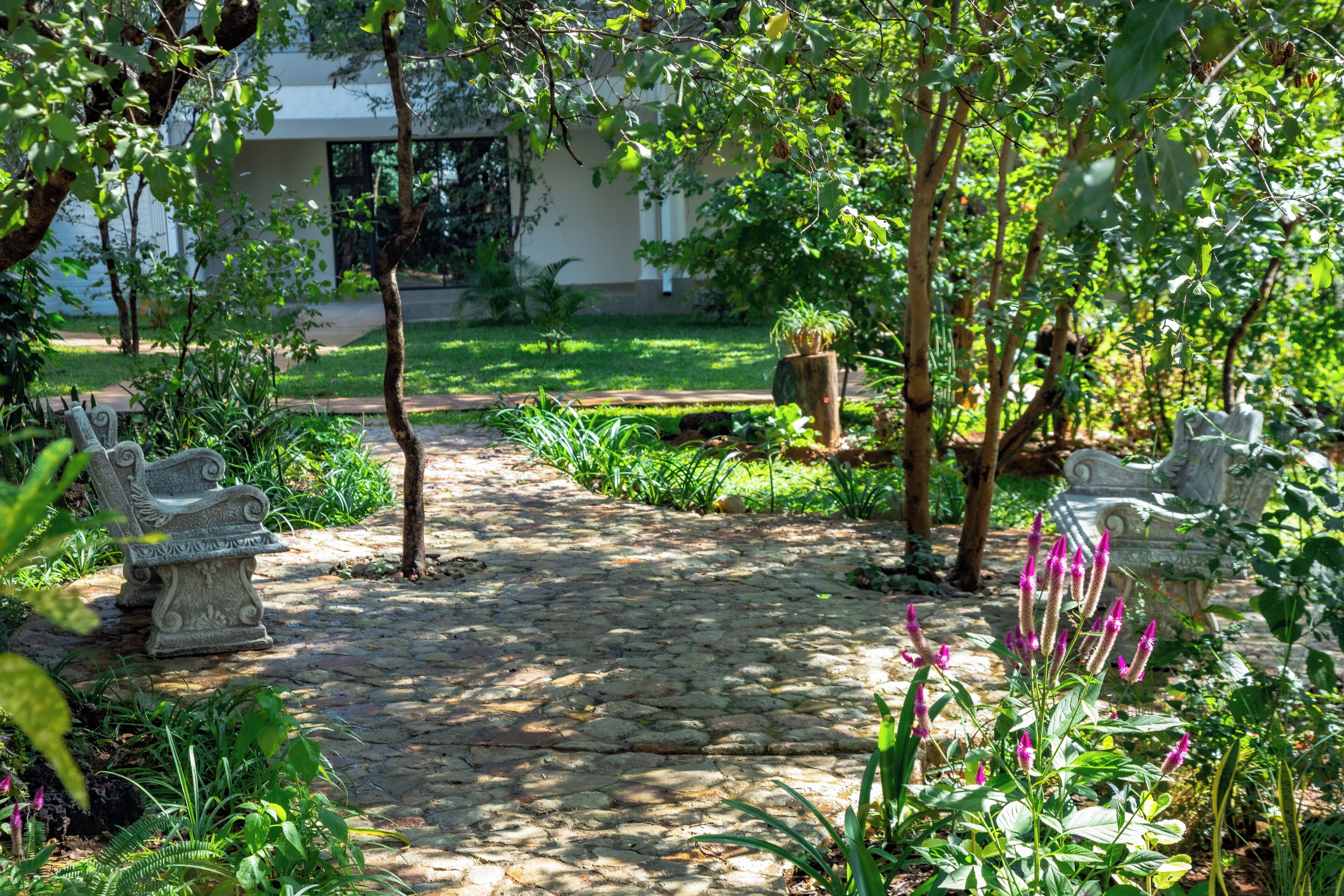 A stone pathway leading to a bench, surrounded by lush greenery and flowering plants.