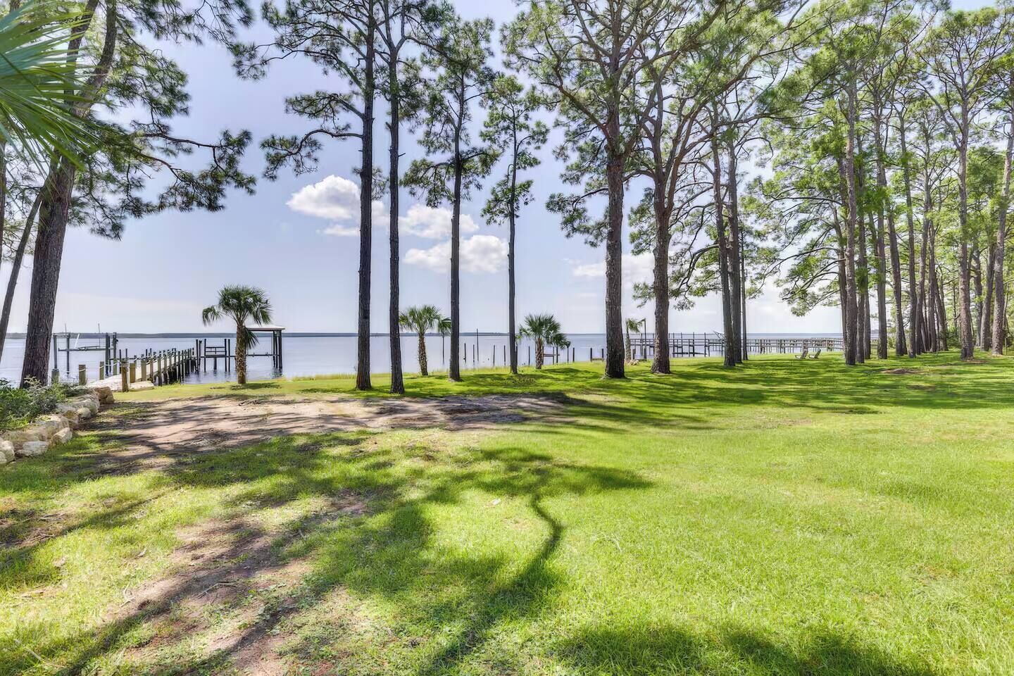 A grassy area with tall trees and a view of the water.