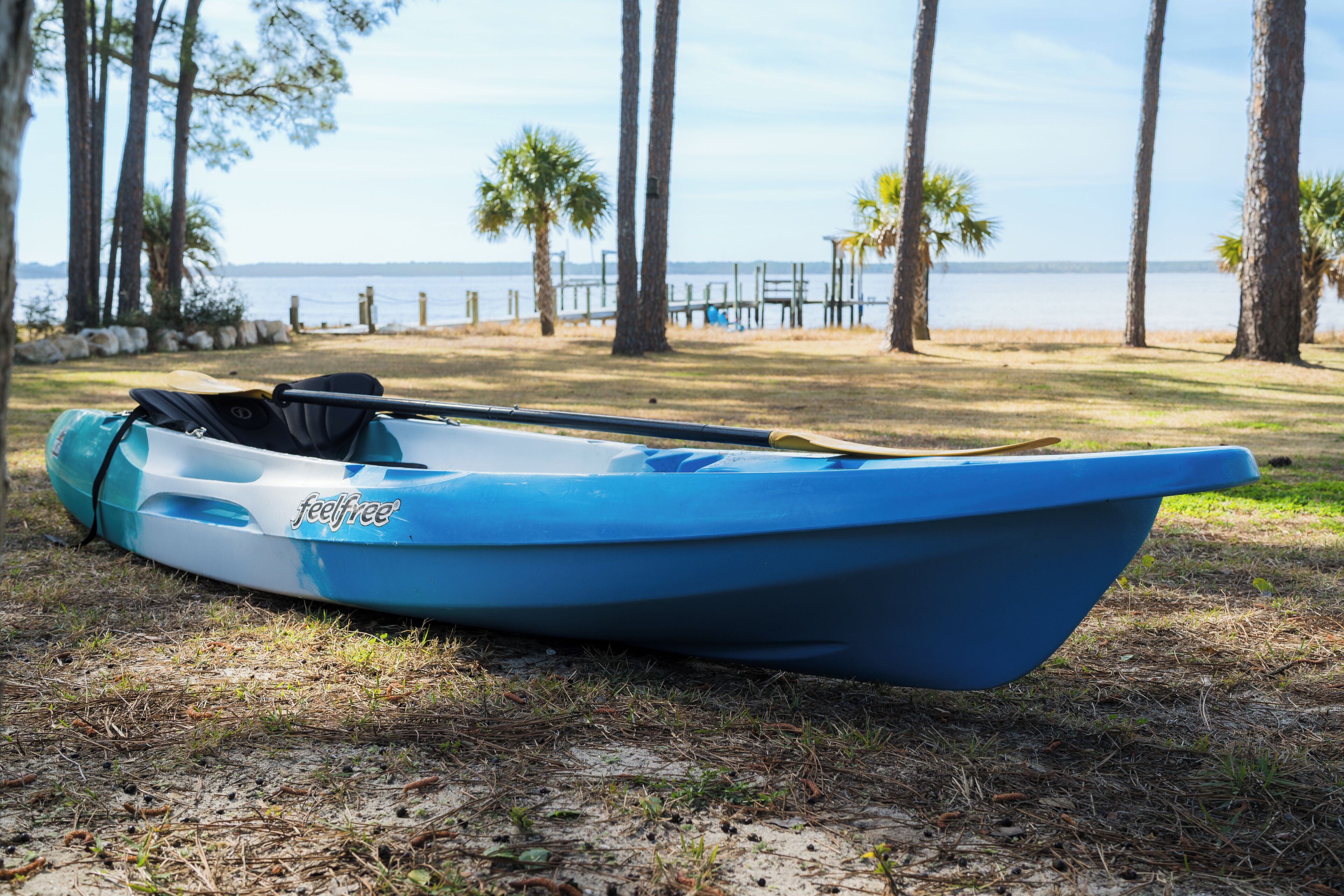 Un kayak azul con la marca 'feelfree' en un césped cerca de una masa de agua con palmeras y un muelle de madera al fondo.