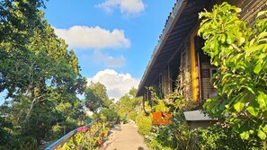 Khuôn viên nơi lưu trú