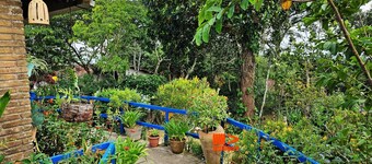 Casa de Meg - Charme na Serra Negra