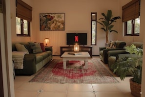 Smart TV