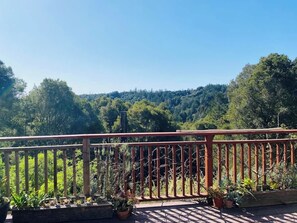 Property grounds - Sky Cabin Summary:<br>Th (Aptos)
