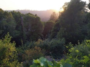 Uklassifisert bilde, 4 av 28, knapp