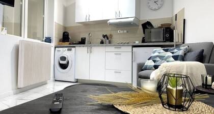 2-Magnificent apartment in Reims