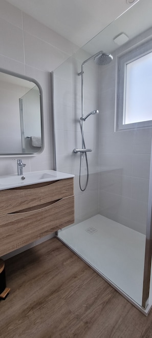 Shower, hair dryer, toilet paper