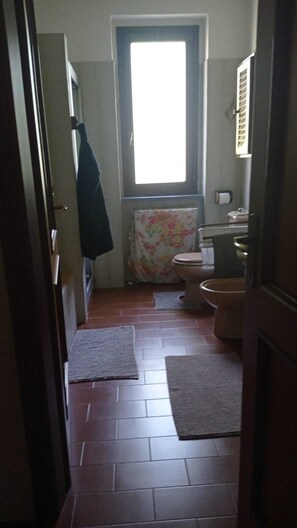 Hair dryer, bidet, towels, soap