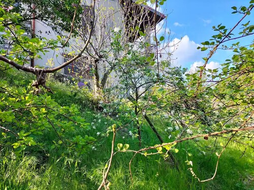 Cozy big house between Lake Como and the mountains: nest to disconnect and relax