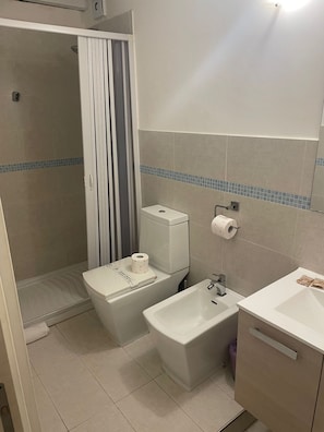 Dusche, Haartrockner, Bidet, Handtücher