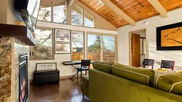 Smart TV, chimenea y libros