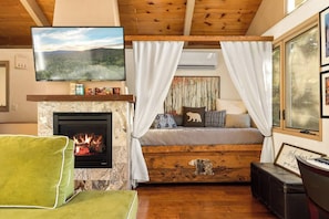 Smart TV, chimenea, libros