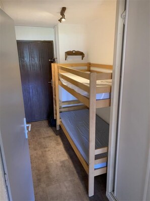 Apartment - Mountain Escape in Les Deux Alpes (Les Deux Alpes)