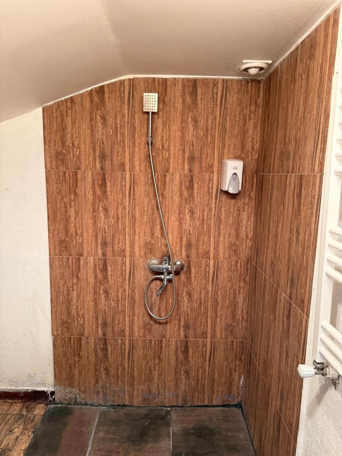 A shower with a wooden wall, a handheld showerhead, and a soap dispenser.