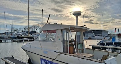 Boat in port