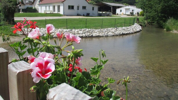 A house with a red roof, a pond, and pink flowers in the foreground. - House in the hollow of the Embryenne valley. (Boubers les hesmond (62990))