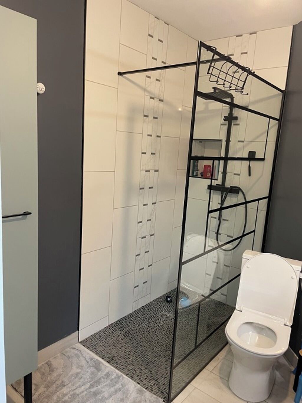 A modern bathroom with a glass shower enclosure, a toilet, and a small shelf with toiletries.