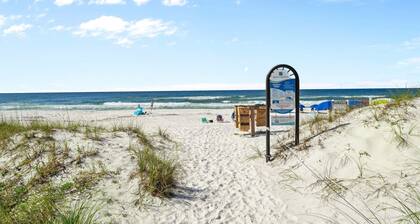 Back to the Beach