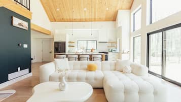 Smart TV, chimenea, libros