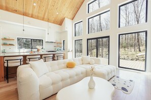 Smart TV, fireplace, books
