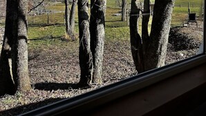 A view through a window of a forested area with bare trees and a clear blue sky. - Custom HorseTrailerTinyHome near Grayson Highlands (Mouth of Wilson)