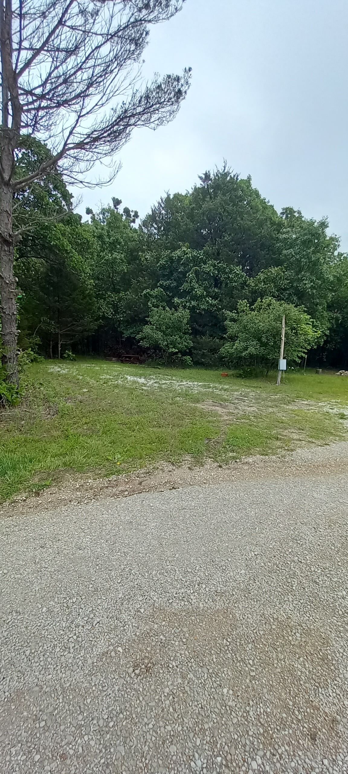 A gravel path leading to a grassy area with trees and a utility box.