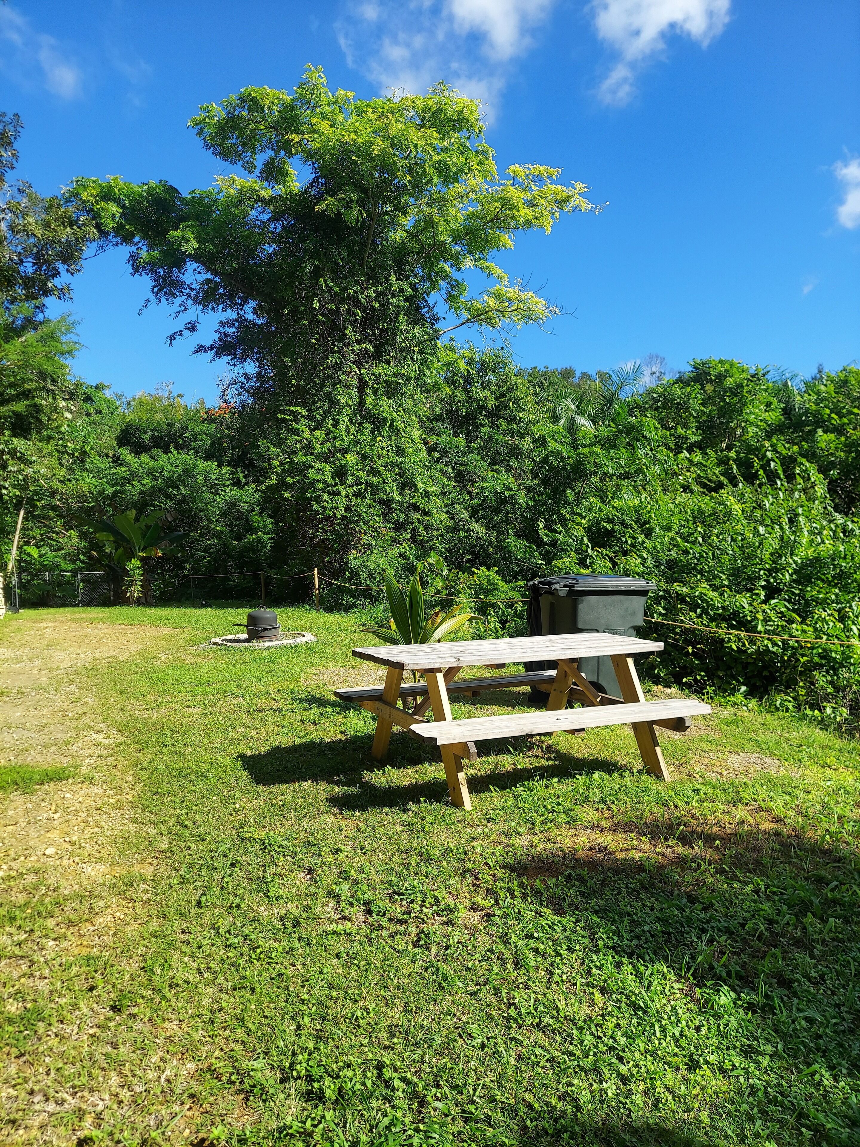 屋外ダイニングエリア