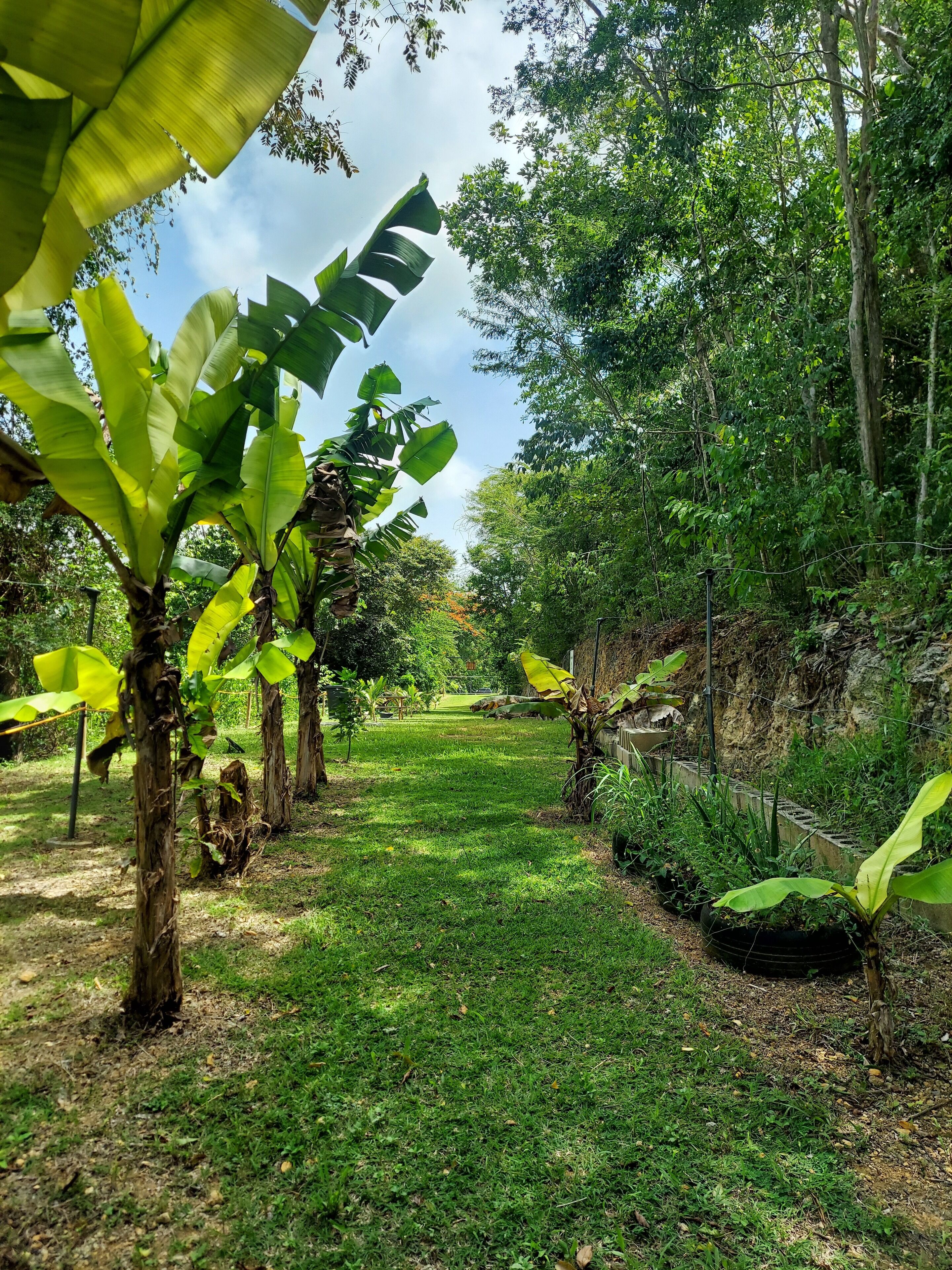 Áreas de la propiedad