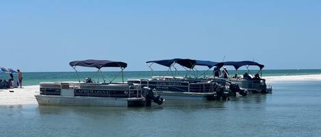 Chaises longues, serviettes de plage