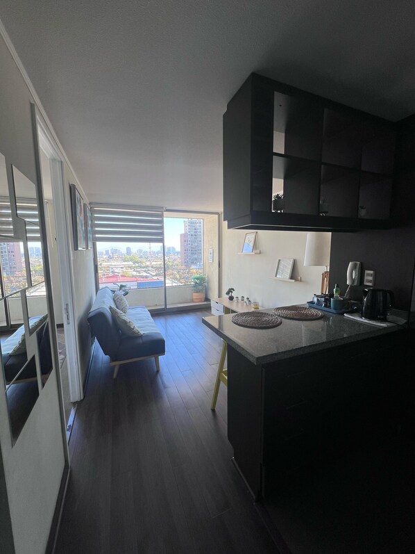 Interior - 1D+1B apartment (Santiago)