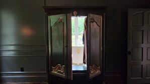 Une porte en bois sombre, ornée d’une poignée en laiton décorative et d’un panneau représentant une tête de lion.