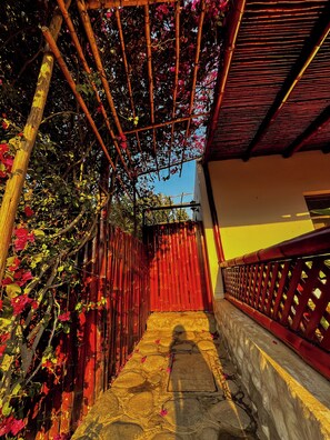 Property grounds - Cozy Artístic retreat - Pool and Nature (Lunahuaná)