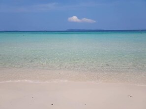 Plage à proximité, sable blanc, bar de plage