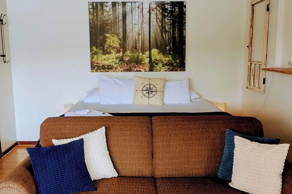 A room with a brown sofa, a large rug, and a forest view.