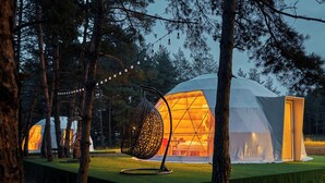 A geodesic dome tent with a transparent interior, surrounded by trees and a grassy area. - Daxvalley Glamping (Tsalka)