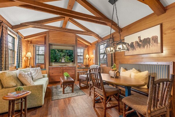 Smart TV, fireplace, books