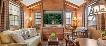 Hidden Disney Cabin w/playground- Close to theme parks!