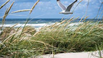 Vue depuis lâhĂ©bergement