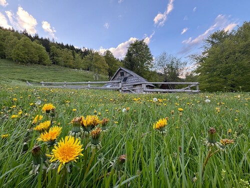 Suška Mountain Lodge - Alpine Tranquility