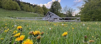 Suška Mountain Lodge - Alpine Tranquility