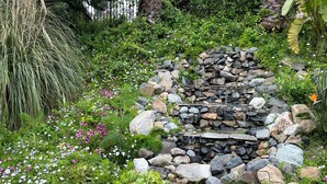 A garden with a stone waterfall, lush greenery, and various flowering plants. - Oceanside tranquility (Oceanside)
